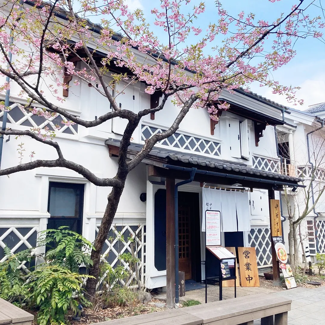 麒麟児大門店の外の桜も咲き始め、観光シーズンとなりそうです🌸